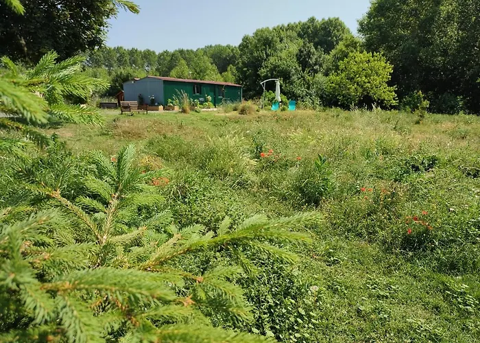 Gite Insolite La Renouee
